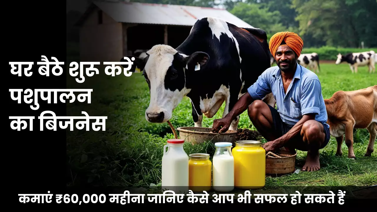 Start Animal Husbandry Business From Home And Earn ₹ 60,000 Per Month